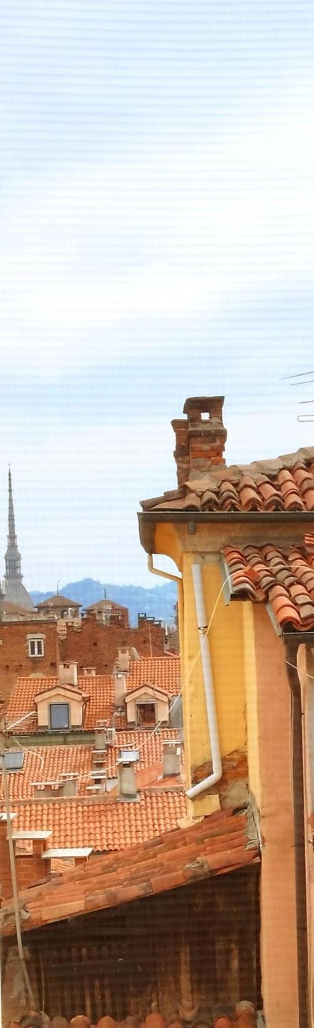 Calin Apartment Turin Exterior photo
