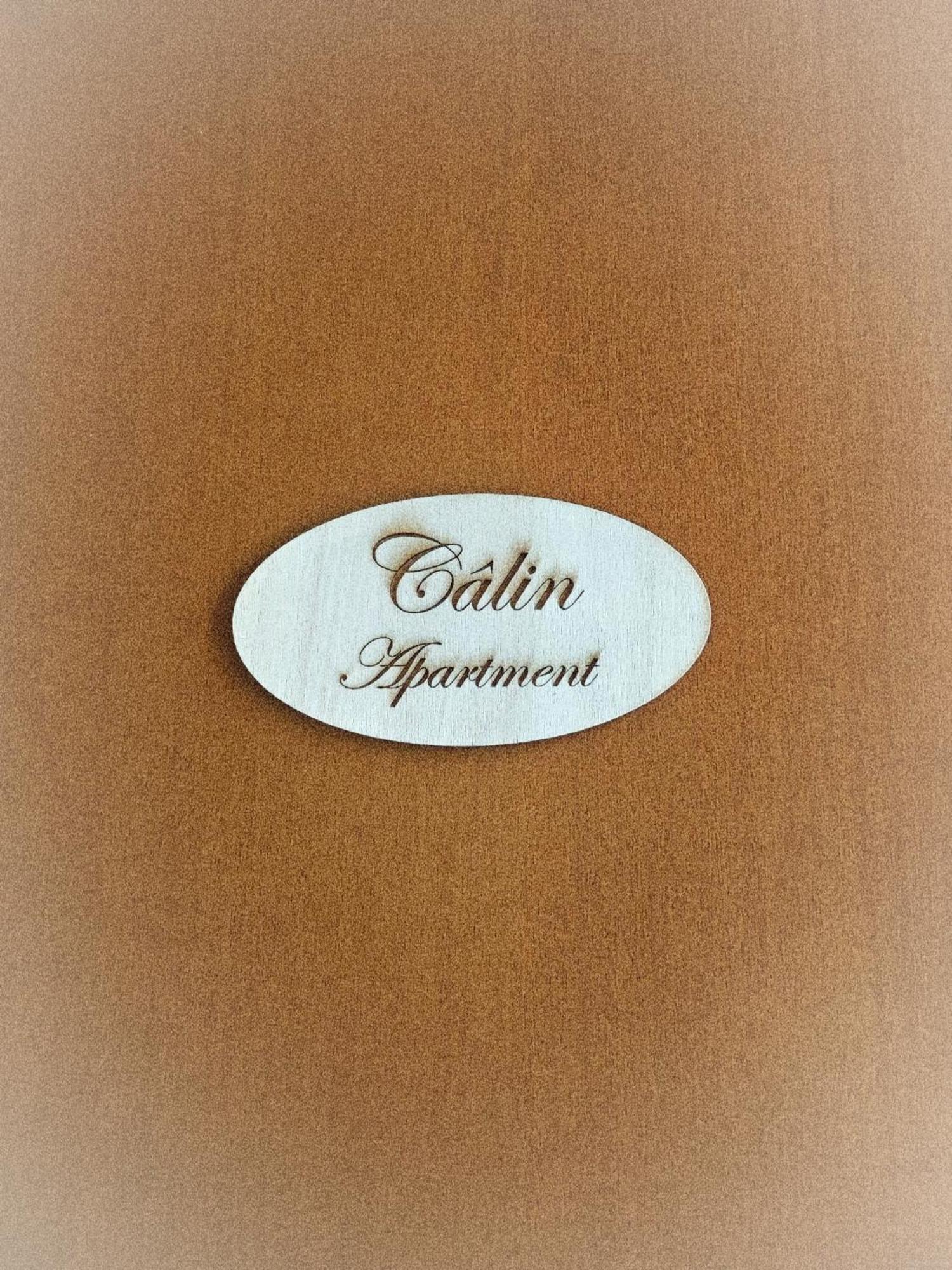 Calin Apartment Turin Exterior photo