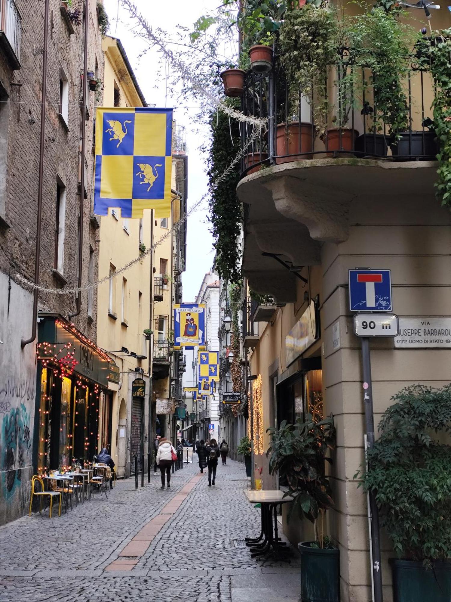 Calin Apartment Turin Exterior photo